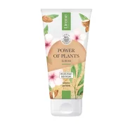Peelingi do ciała - Lirene Power of Plants Odżywczy Peeling myjący Almond Cream 175 ml - miniaturka - grafika 1