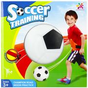 Piłki dla dzieci - Mega Creative Mc Piłka Treningowa Akc 19x19x19 Wb 24 - miniaturka - grafika 1