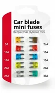 Akcesoria motoryzacyjne - ZESTAW BEZPIECZNIKÓW SAMOCHODOWYCH MINI PŁYTKOWE BLISTER 10szt - miniaturka - grafika 1