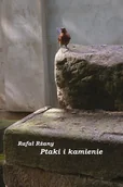 Książki o kulturze i sztuce - Ptaki i kamienie - miniaturka - grafika 1