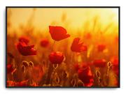 Plakaty - Plakat r A4 30x21 cm Maki Zieleń Kwiaty Słońce - miniaturka - grafika 1