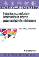 Finanse, księgowość, bankowość - Uwarunkowania, mechanizmy i efekty udzielania pożyczek przez przedsiębiorstwa niefinansowe - miniaturka - grafika 1