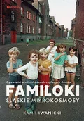 E-booki - literatura faktu - Familoki. Śląskie mikrokosmosy - miniaturka - grafika 1