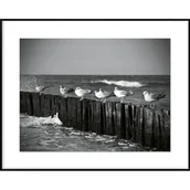 Obrazy i zdjęcia na płótnie - Obraz 40 x 50 cm DB4050,074 - miniaturka - grafika 1