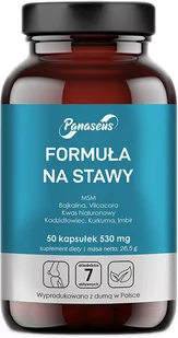 Panaseus Formuła na Stawy 50 kapsułek Zdrowe Stawy (5904194061340) - Suplementy naturalne - miniaturka - grafika 1