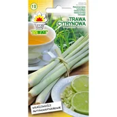 Nasiona i cebule - Trawa cytrynowa nasiona ziół 0,1g TORAF - miniaturka - grafika 1