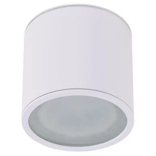 AZZARDO ALIX AZ4055 downlight natynkowy 1x50W/GU10 IP65 AZ4055 - Lampy ogrodowe - miniaturka - grafika 1