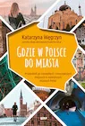 Gdzie w Polsce do miasta - Książki podróżnicze - miniaturka - grafika 1