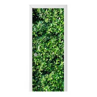 Naklejki na ścianę - Naklejka na drzwi HOMEPRINT Ściana drzewa figowego 75x205 cm - miniaturka - grafika 1