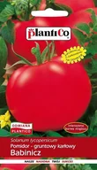 Nasiona i cebule - Pomidor gruntowy Babinicz 10 g Plantico POLAN - miniaturka - grafika 1