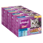 Mokra karma dla kotów - Megapakiet WHISKAS DUO, saszetki, 96 x 85 g - Ocean Delights w galarecie - miniaturka - grafika 1