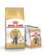 Sucha karma dla kotów - ROYAL CANIN British Shorthair Adult 34 4kg + saszetka British Adult 12x85g (Sos) - miniaturka - grafika 1