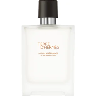Hermes Terre d woda po goleniu 100 ml bez sprayu HER-TDH05 - Balsamy po goleniu - miniaturka - grafika 1