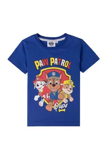 Koszulki dla chłopców - Niebieski t-shirt dla chłopca bawełniany Psi Patrol - grafika 1