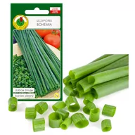 Nasiona i cebule - SZCZYPIOREK BOHEMIA ZIMUJE PLENNY NASIONA BEZ GMO - miniaturka - grafika 1