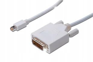 Kabel adapter DIGITUS DisplayPort mini /M - DVI-D (24+1) /M, 2m - Kable komputerowe i do monitorów - miniaturka - grafika 1
