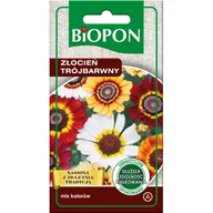 Nasiona i cebule - Złocień trójbarwny mieszanka 1 g BIOPON - miniaturka - grafika 1