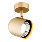 Lampy ścienne - Lampa ścienna/sufitowa ISOLA 8260 - Argon - miniaturka - grafika 1