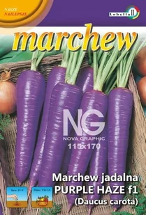 Marchew Purple Haze późna 0,3g / L / - Nasiona i cebule - miniaturka - grafika 1