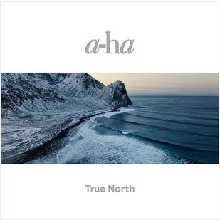 True North - Winyle - miniaturka - grafika 1