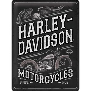 23301 Plakat 30x40 Harley Davidson Eagle - Tablice i flipcharty - miniaturka - grafika 1