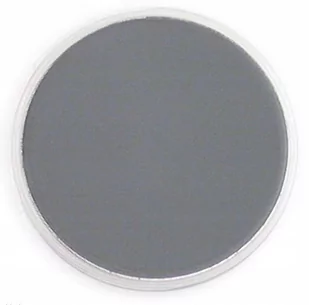 PanPastel Neutral Grey Shade 9ml - Pozostałe akcesoria dla plastyków - miniaturka - grafika 1
