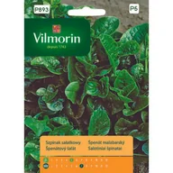 Nasiona i cebule - Szpinak sałatkowy 3 g Vilmorin Garden - miniaturka - grafika 1