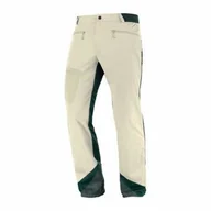 Spodnie sportowe damskie - Spodnie Salomon MTN Gore-Tex Softshell Plaza Taupe - miniaturka - grafika 1