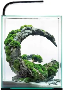 Aquael Shrimp Set Smart D&N 30 Czarne 3 tryby oświ. - Zamów do 16:00, wysyłka kurierem tego samego dnia! - Pozostałe akcesoria do akwarium - miniaturka - grafika 1