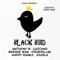 Reggae - Big Slap & Black Bird Riddims By City Kay Różni Wykonawcy Płyta CD) - miniaturka - grafika 1