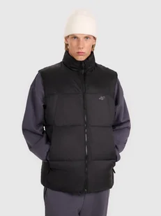 4F Bezrękawnik puchowy z wypełnieniem syntetycznym męski - czarny 3XL - Kurtki męskie 4F Bezrękawnik puchowy z wypełnieniem syntetycznym męski - czarny 3XL - Kurtki męskie - miniaturka - grafika 1