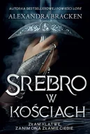 Literatura popularno naukowa dla młodzieży - Srebro w kościach - miniaturka - grafika 1
