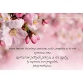 Magnesy - Szaron Magnes na lodówkę - Jestem Bowiem świadomy Jabłoń - miniaturka - grafika 1