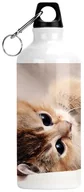 Shakery i bidony sportowe - BIDON BUTELKA KOTY KOT NA WODE Z NAPISEM - miniaturka - grafika 1