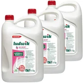 Płyny do naczyń - Zestaw Ludwik Płyn do mycia naczyń malinowy 5kg 3 szt.  ! - miniaturka - grafika 1