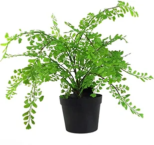 Leaf Design UK AZ-Foliage Realistyczna sztuczna roślina liściowa z palmą w doniczce 50 cm - Sztuczne drzewka - miniaturka - grafika 1