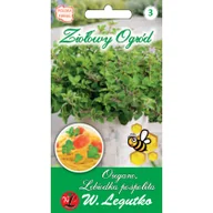 Nasiona i cebule - Legutko Oregano (Lebiodka pospolita) - miniaturka - grafika 1
