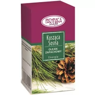 Aromaterapia - Kratki Olejek zapachowy kusząca sosna 10ml OLEJEK/KUSZACA SOSNA - miniaturka - grafika 1
