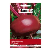 Nasiona i cebule - Burak ćwikłowy Egipski - miniaturka - grafika 1