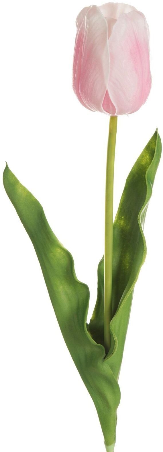 Eurofirany Kwiat sztuczny tulipan 56 cm jasnoróżowy komplet 6 szt