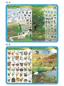 Podkładki na biurko - Visual System Podkładka na biurko Polska przyroda, VISUAL SYSTEM - miniaturka - grafika 1