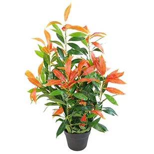 Leaf Sztuczne drzewo/roślina Ficus, fotinia czerwona zieleń, 80 cm - Sztuczne drzewka - miniaturka - grafika 1