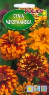 Nasiona i cebule - Cynia meksykańska 1 g POLAN - miniaturka - grafika 1