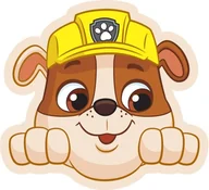 Kołdry i poduszki dla dzieci - Poduszka dekoracyjna welwetowa Psi Patrol Sky PAW201062 40 x 38 cm - miniaturka - grafika 1