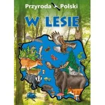 SBM Przyroda Polski W lesie - Praca zbiorowa - Książki edukacyjne - miniaturka - grafika 1