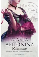 Powieści - Bukowy Las Maria Antonina Grey Juliet - miniaturka - grafika 1