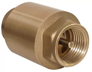 Zawór zwrotny z metalowym trzpieniem TIGER PLUS 1 1/4" - Zawory i kraniki - miniaturka - grafika 1
