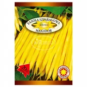 Nasiona i cebule - FASOLA SZPARAGOWA KARŁOWA MAXIDOR WCZESNA NASIONA - miniaturka - grafika 1