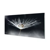 Tablice i flipcharty - Panel szklany Kropla dmuchawiec makro 120x60 cm - miniaturka - grafika 1
