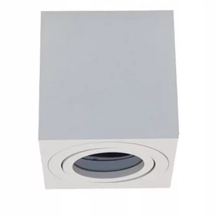 Oprawa oświetleniowa sufitowa natynkowa Ecolight 35 W GU10 230V Biała - Oprawy, klosze i abażury - miniaturka - grafika 1